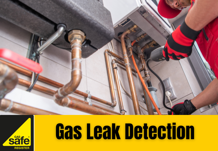 gas leak detection Crayford